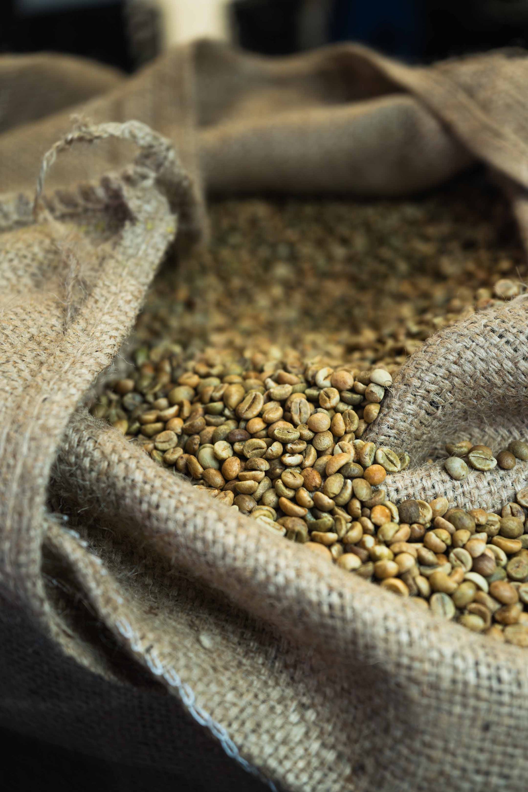 Inside our small-batch roasting tradition